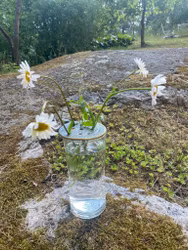 Blomhållare koppargrön