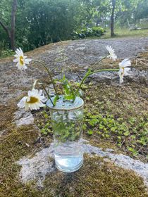 Blomhållare koppargrön
