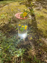 Blomhållare rosa