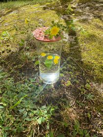 Blomhållare rosa