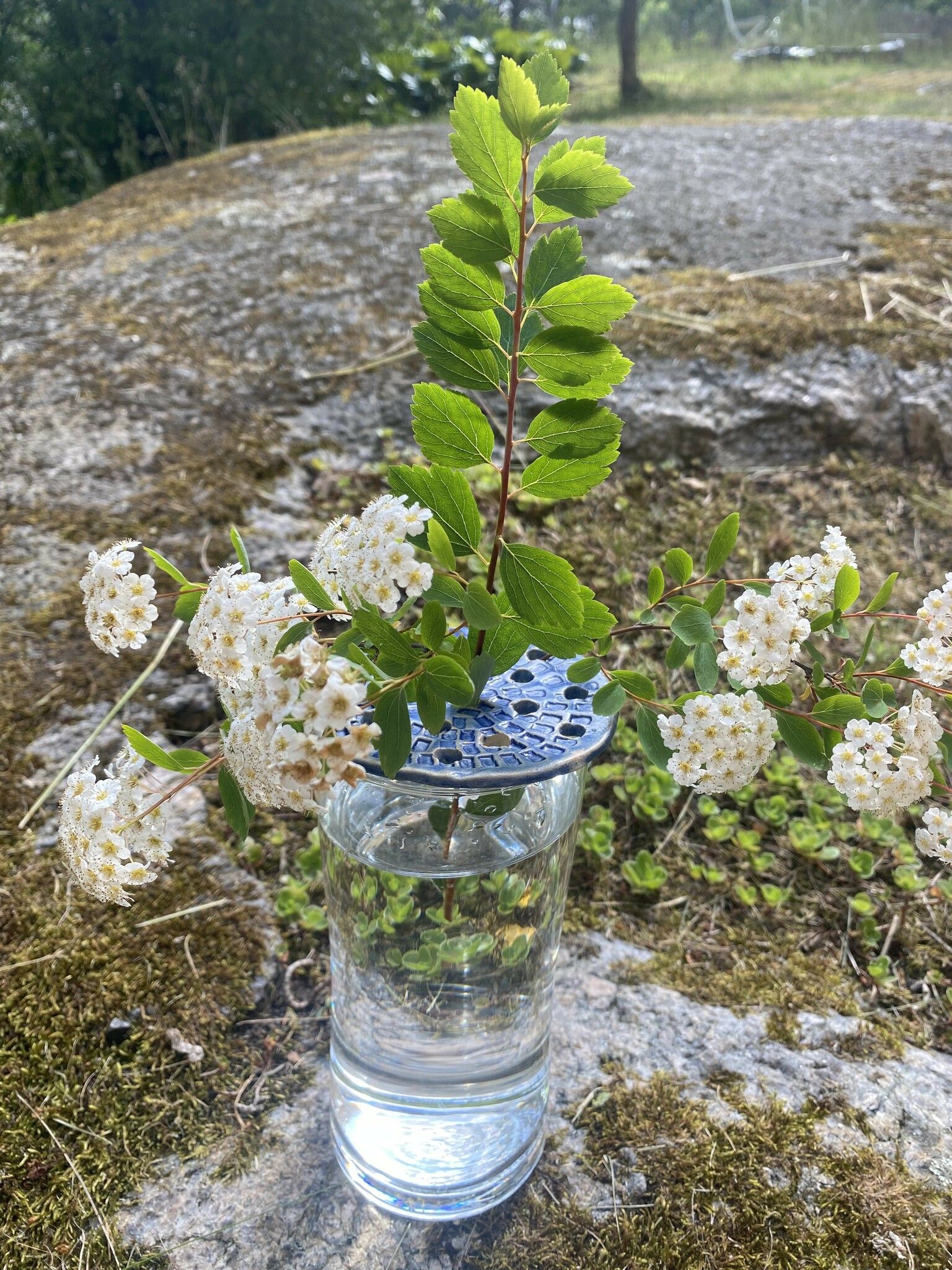 Blomhållare blå