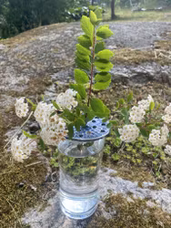 Blomhållare blå