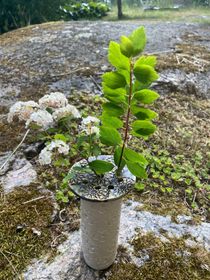 Blomhållare koppar
