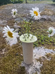 Blomhållare lime