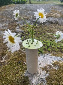 Blomhållare lime