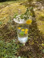 Blomhållare vit