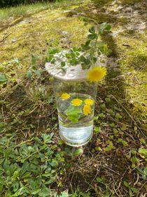 Blomhållare vit