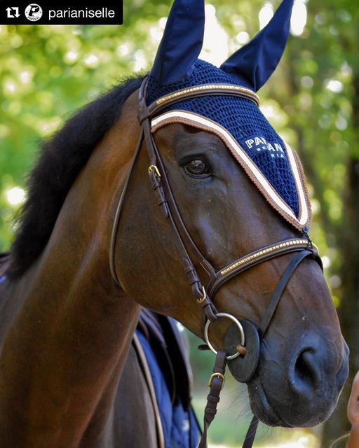 Pariani Klinkerträns i Mässing komplett med tyglar