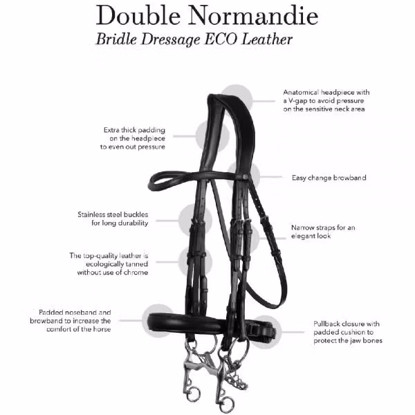 Montar Organiskt Kandarträns Normandie Double Svart