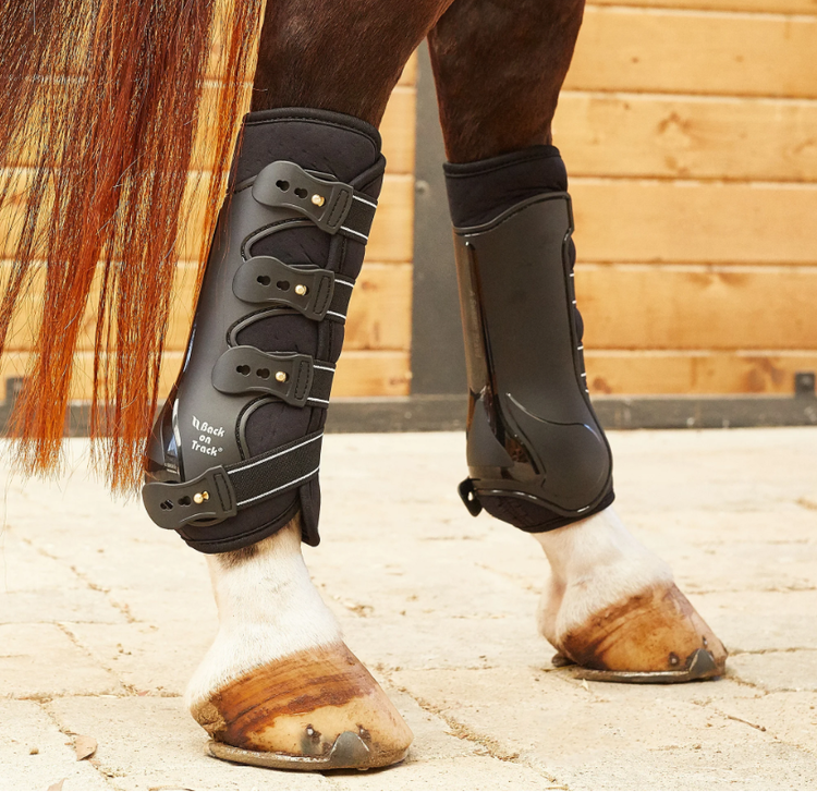 Back On Track Royal Work Boots Senskydd - Brun