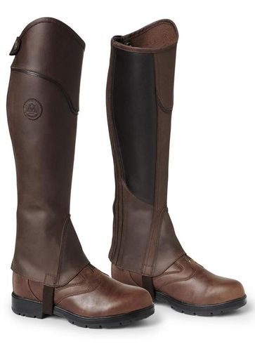 Mountain Horse Shortchaps River Brun - Rea