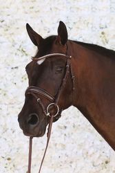 Montar Organiskt Träns Normandie Deluxe Organic Tanned Bridle - Brunt