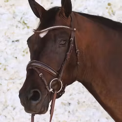 Montar Organiskt Träns Normandie Deluxe Organic Tanned Bridle - Brunt