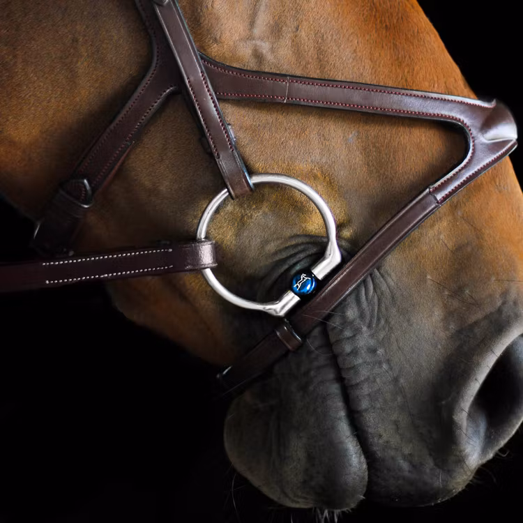 Fager Lilly Titan Fasta ringar