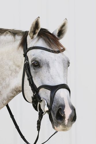 Montar Organiskt Träns Monarch Svart