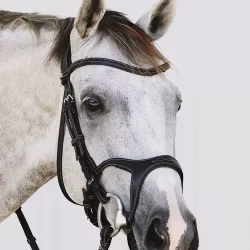 Montar Organiskt Träns Monarch Svart