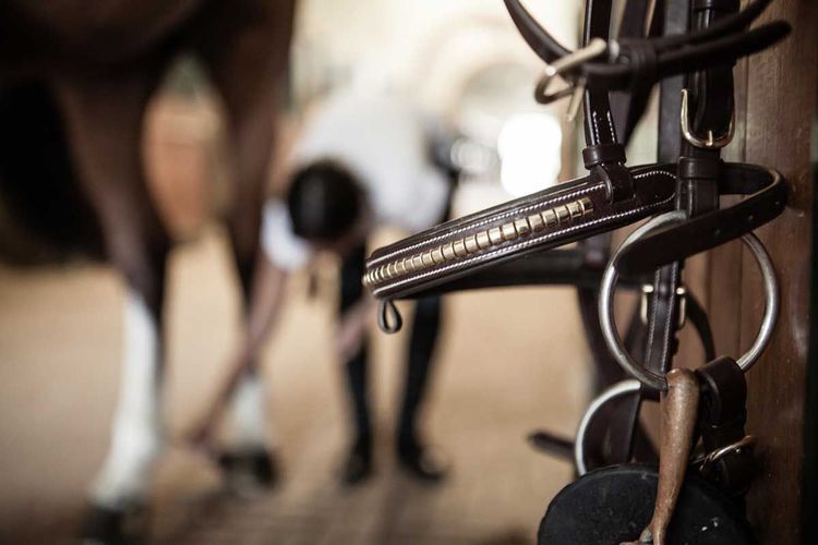 Pariani Klinkerträns i Mässing komplett med tyglar