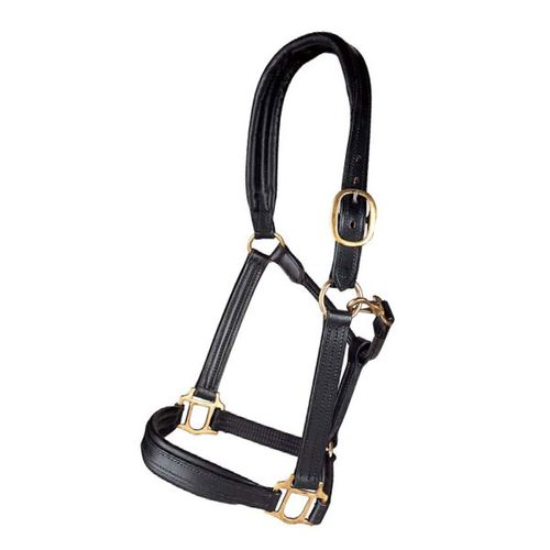 Pariani Lädergrimma med mässingspännen
