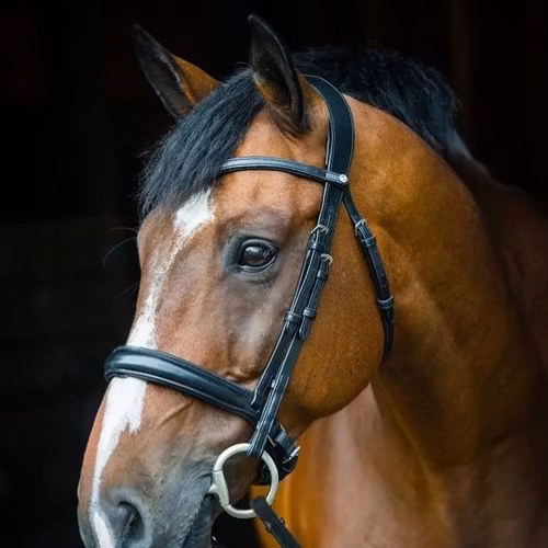 Montar Organiskt Normandie Svart