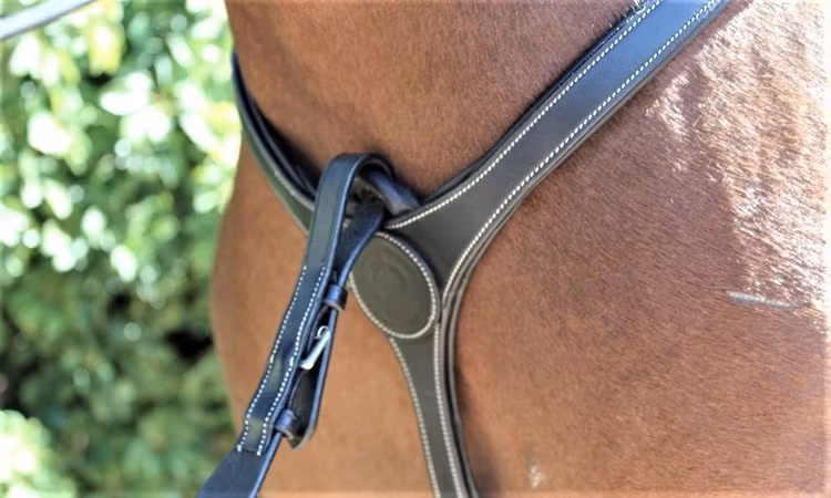 Montar Organisk Brösta med Martingal Papillon Svart