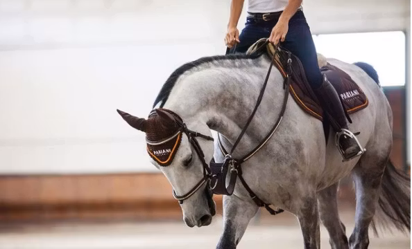Pariani Brösta med martingal guldklinkers
