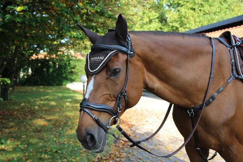 Pariani Anatomisk Aachenträns komplett med tygel