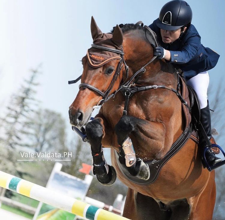 Pariani Anatomisk brösta med martingal