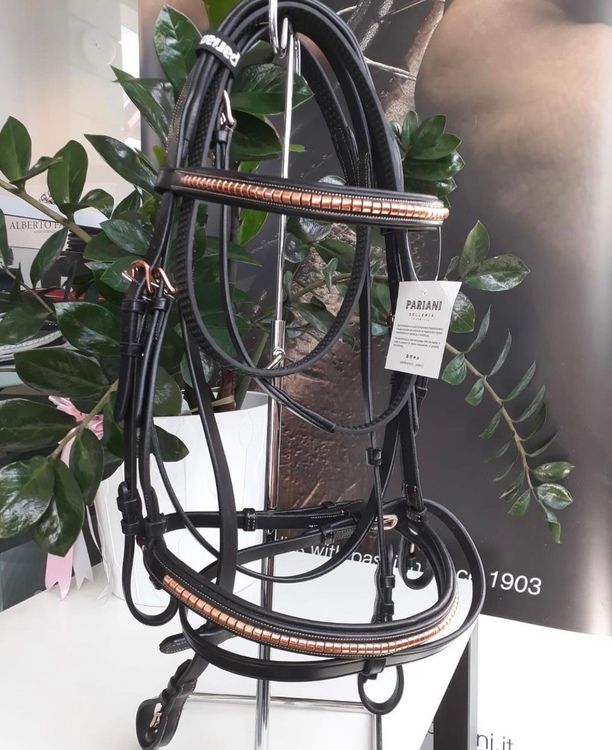 Pariani Klinkerträns i Roseguld komplett med tyglar