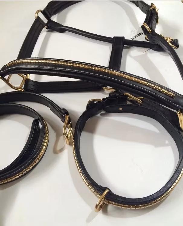 Pariani Lädergrimma med Mässingklinkers