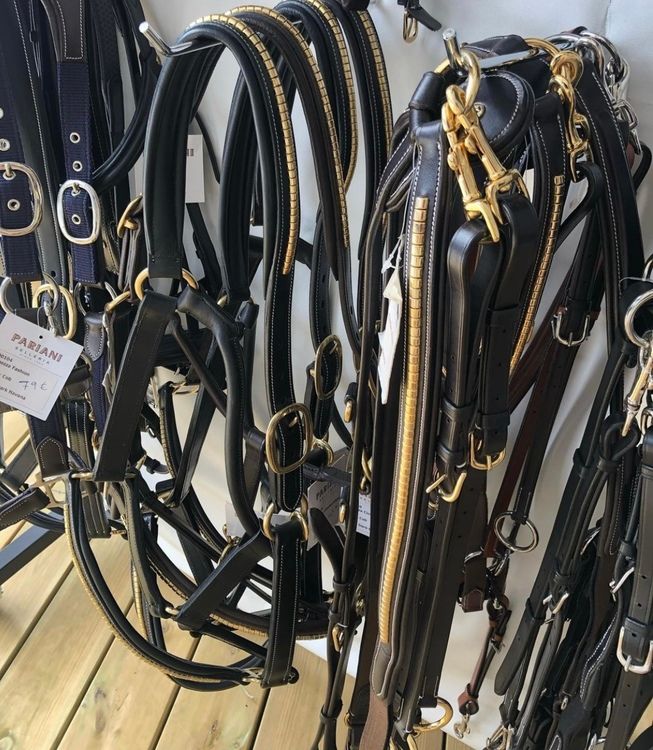 Pariani Klinkerträns i Mässing komplett med tyglar