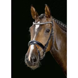 HKM Anatomiskt TrÀns med Kristallpannband "Emilia"