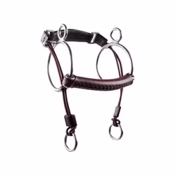 Trust CurbGag Läder