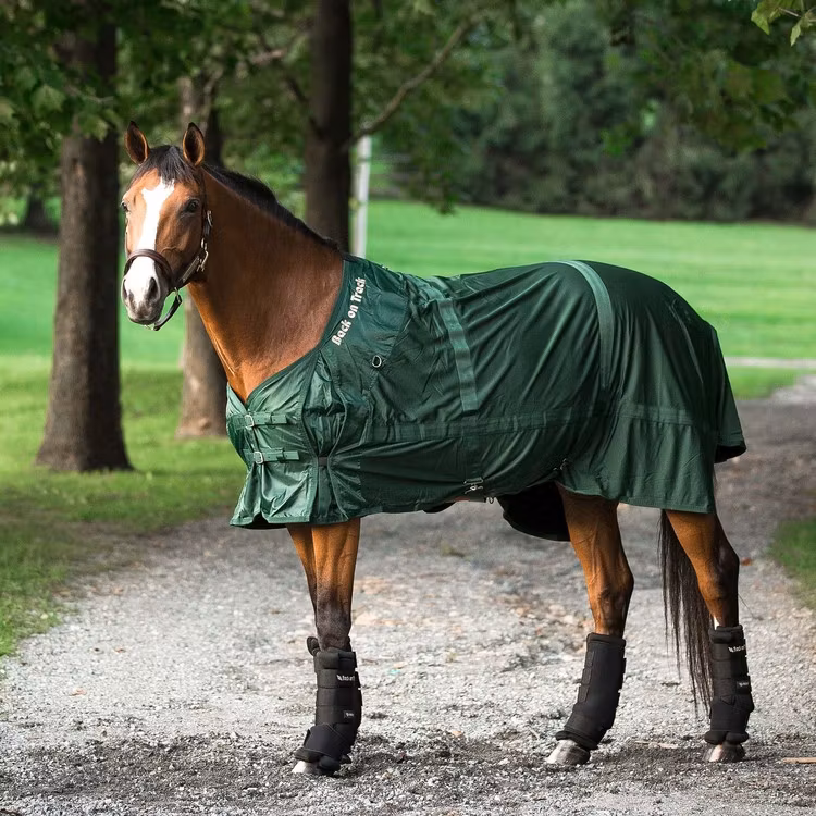 Back On Track Nättäcke Mesh Rug - Olika färger