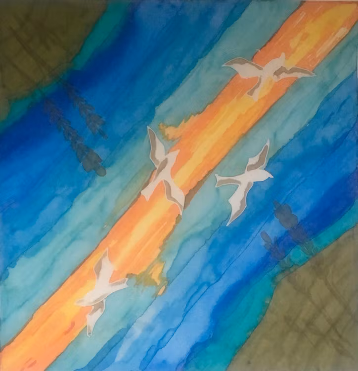 219 - Feeling Free