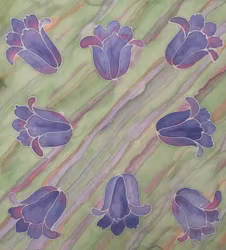 186 - Bluebells In Springgrass