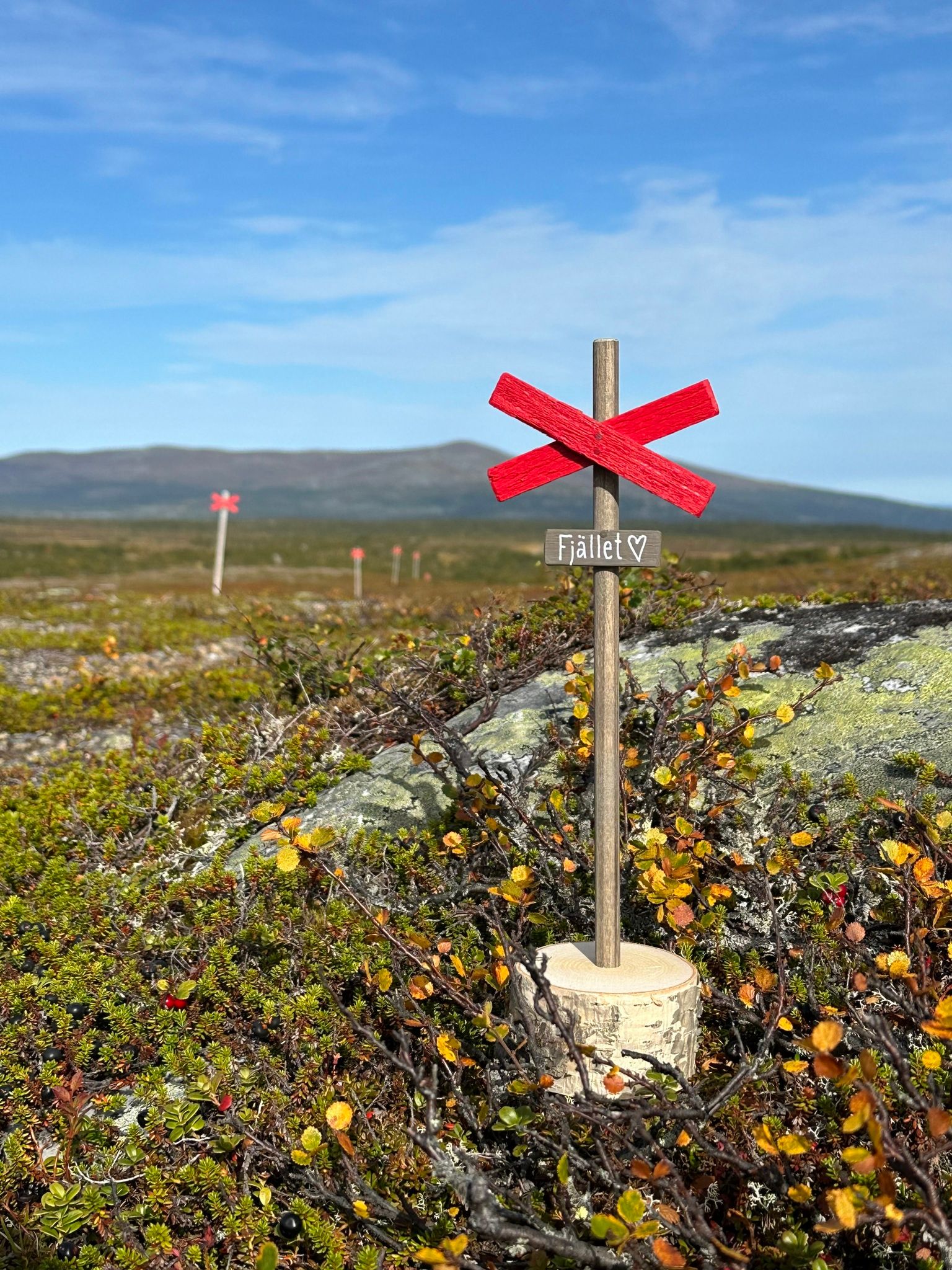 Ledkryss på träfot -egen text-