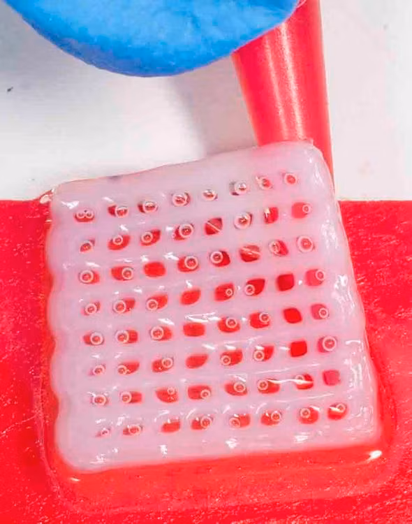 144 Collagen Bioink for 3D-printing kit