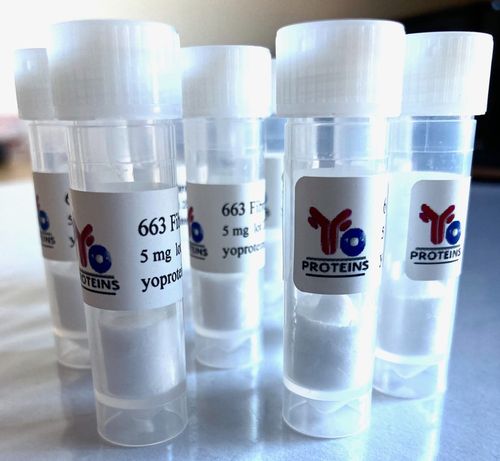 663 Fibronectin (human) 5 mg