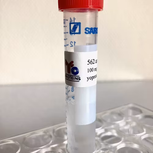 562-100 Monoclonal mouse antibody anti-taq polymerase 100 mg