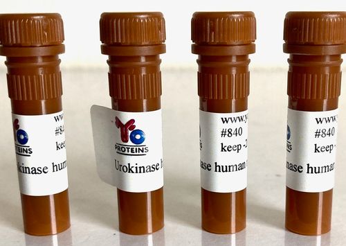 840 Urokinase human 20 ug