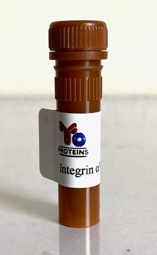 357 Integrin aVb3 (human) 10 ug