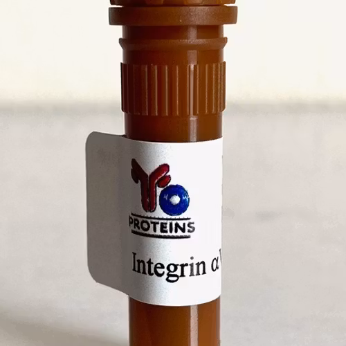 357 Integrin aVb3 (human) 10 ug