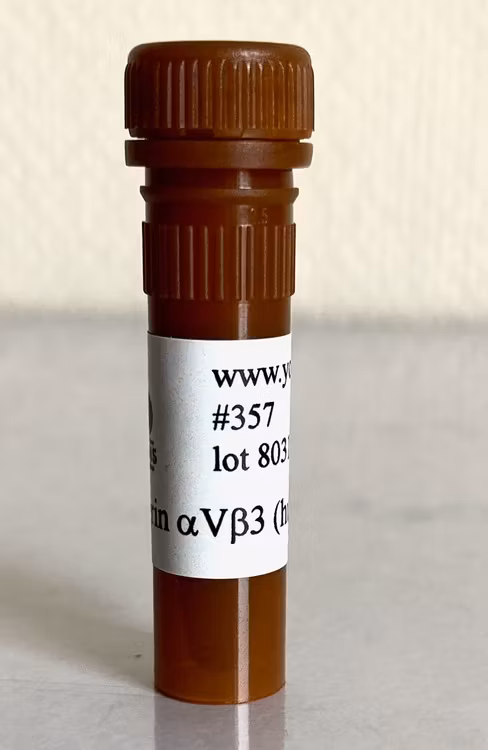 357 Integrin aVb3 (human) 10 ug