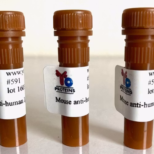 591 Mouse anti-human IgA monoclonal antibody, clone BFG-267 HRP 1.2 mg