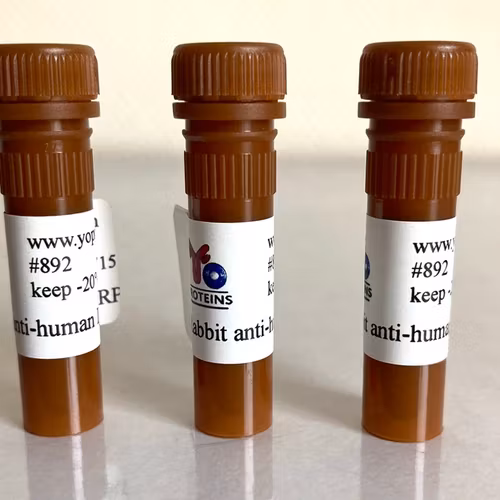 892 Rabbit anti-human IgG, IgM, IgA polyclonal antibody HRP 1.2 mg