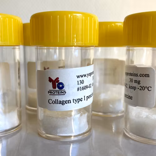 130 Collagen type I (porcine, atelocollagen suitable for 3D gel, sterile, lyophilized)