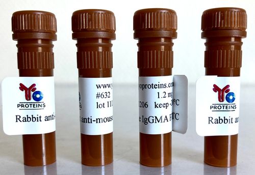 632 Rabbit anti-mouse IgG, IgM, IgA polyclonal antibody FITC 1.2 mg