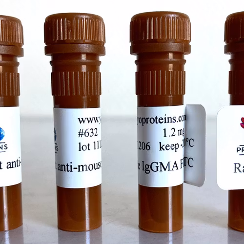 632 Rabbit anti-mouse IgG, IgM, IgA polyclonal antibody FITC 1.2 mg