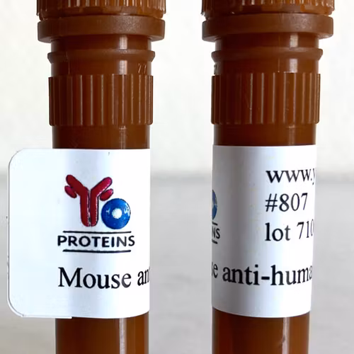 807 Mouse anti-human IgA monoclonal antibody, clone BFG-267 1 ml