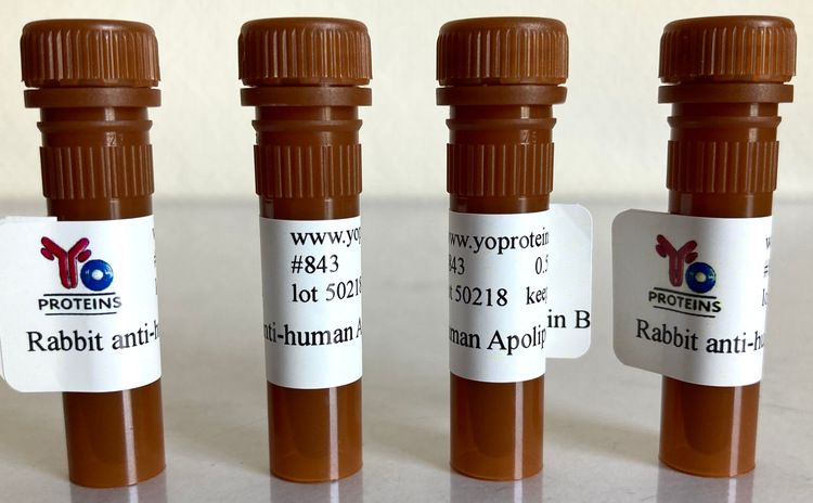 843 Rabbit anti-human Apolipoprotein B polyclonal antibody 0.5 mg